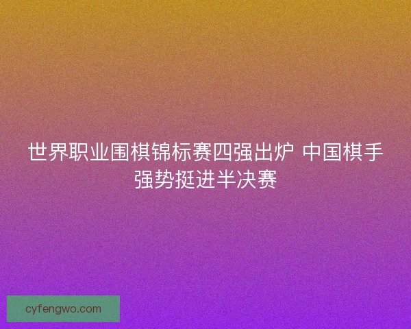 世界职业围棋锦标赛四强出炉 中国棋手强势挺进半决赛